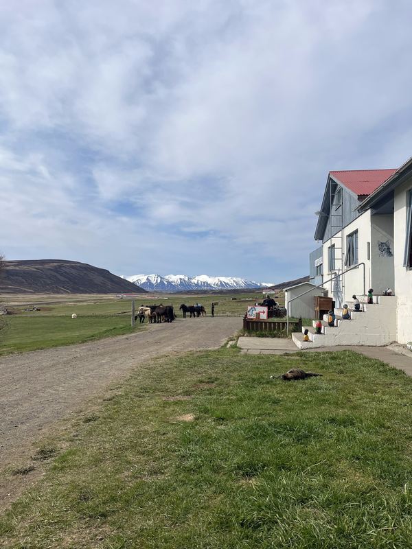 Pólar Hestar, Akureyri